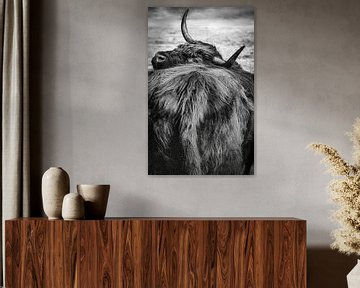 Achterste van een schotse hooglander koe in zwart wit van Olivier Photography