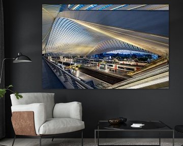 Station Luik-Guillemins van Mark Bolijn