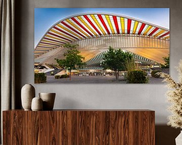 Station Luik-Guillemins van Mark Bolijn