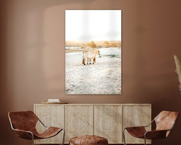 Fjordenpaarden in het vroege licht van Madinja Groenenberg