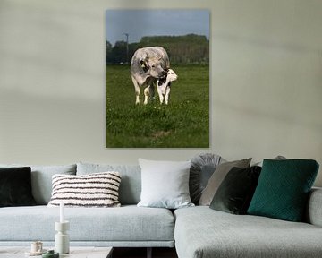 Koe likt kalfje van Neijsenfotografie.nl