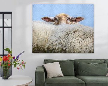 The Wool Fabric 1 by Marc Lourens