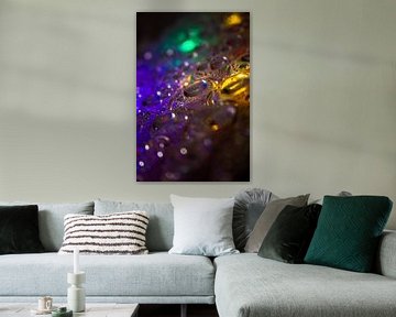 Waterdruppels op verlicht plastic oppervlak van Mixed media vector arts