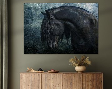 Frisian Stallion by Joachim G. Pinkawa