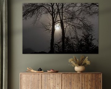 Stilte in het Gerendal van Johan Gorissen Fotografie
