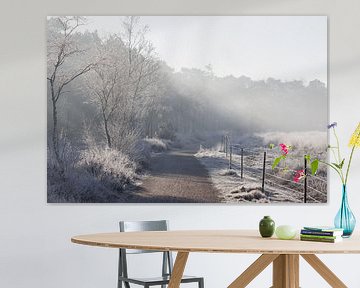 Winter landschap van Daniëlle Kuijpers