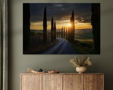 Coucher de soleil parmi les cyprès, Toscane sur Roy Poots