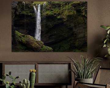 Windhund am Wasserfall in Island von Traveling dogs