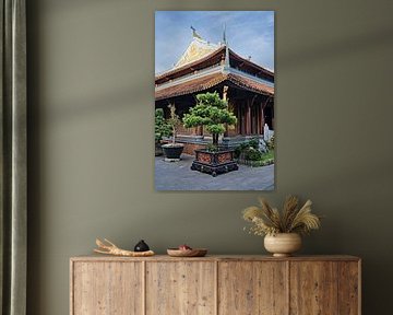 Traditional temple and the art of bonsai by Frank Photos