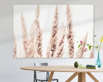 Wild Pampas Riet Wit van Monika Strigel