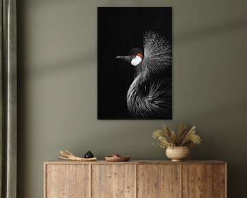 Zwartkroonkraanvogel van Monika Strigel