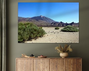 El Teide Teneriffa von Elly Damen