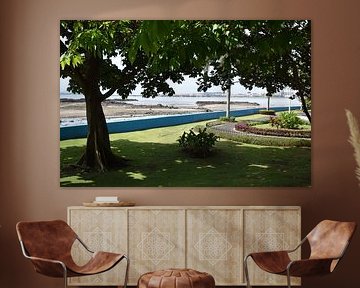 A park off the Cinta Costera promenade