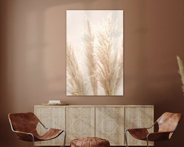 PAMPAS REED by Monika Strigel
