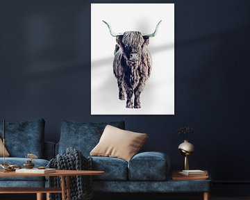 Hooglanders Colin White van Monika Strigel
