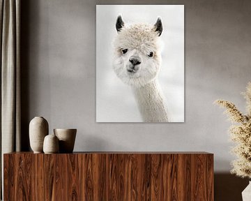 Peeky Alpaca sur Monika Strigel