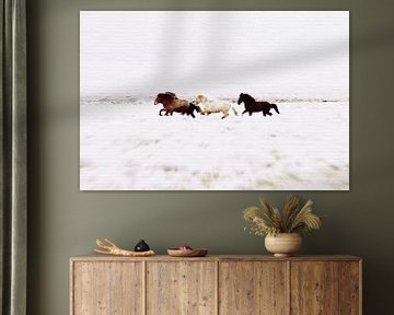 Wilde paarden IJsland van Monika Strigel