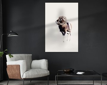 Majestueuze ram met opvallende spiraalvormige horens van Monika Strigel