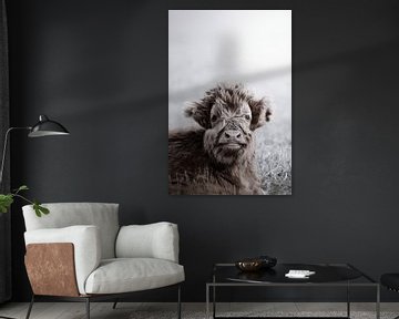 Fuzzy Hooglanders van Monika Strigel