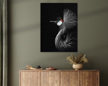 Zwartkroonkraanvogel van Monika Strigel
