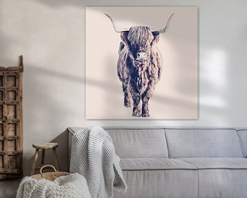 Hooglanders Colin Rose van Monika Strigel