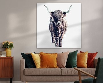 Hooglanders Colin White van Monika Strigel