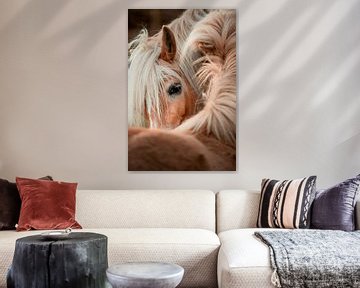 Vriendschap in detail | Paarden fine-art van Madinja Groenenberg