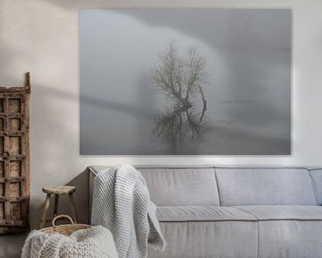 Struik in de mist van Jose Lok