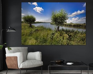 Pollard willows along the ring canal by peterheinspictures