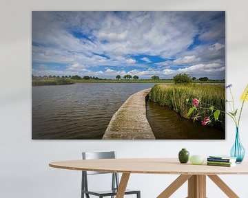 view over the Wogmeer polder by peterheinspictures