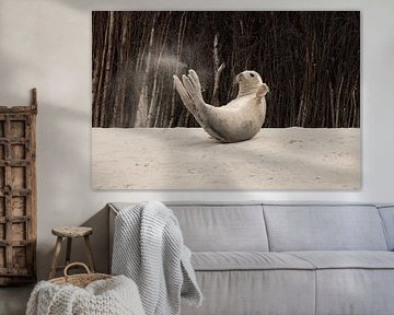 Seal and his playtime by Laura van Slochteren