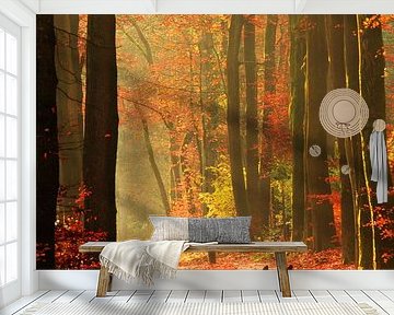 Polish Road by René Vos