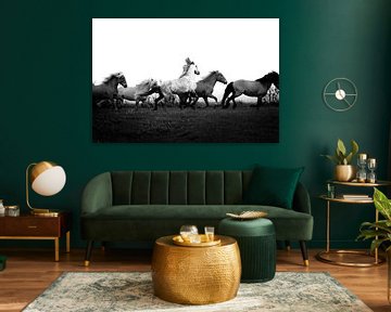 Kunst in beweging - rennende paarden zwart-wit van Madinja Groenenberg