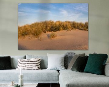 Duinen Westvoorne, Goeree