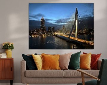 Rotterdam, veerkracht aan de Maas van Studio Ypie
