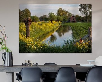 Landelijk wonen naast een weiland en sloot omringd met felgeel koolzaad van Bram Lubbers