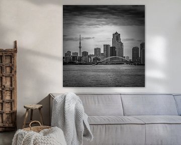 Pont Tsukiji-Ohashi et Tokyo Skytree | monochrome sur Melanie Viola