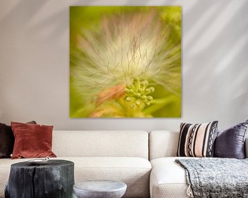 Soft fragile voice of nature. van Alie Ekkelenkamp