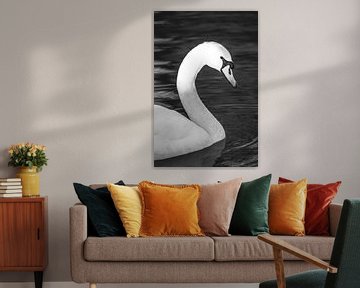 Zwaan Elegantie in Zwart-Wit Reflectie van Femke Ketelaar