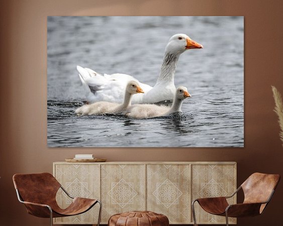 Raumvorschau