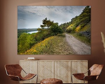 parc national de la Haute Campine sur Thomas Junklewitz