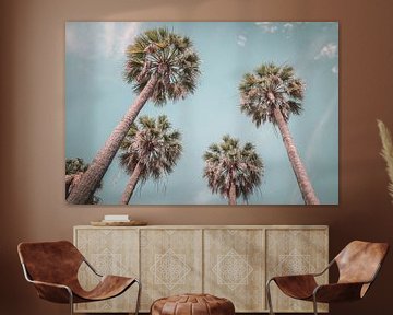 Under the palm trees | soft colours | summer by Laura Dijkslag