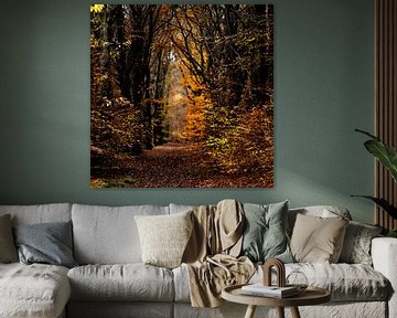 Beukenlaan met herfstkleuren van Theo Fokker