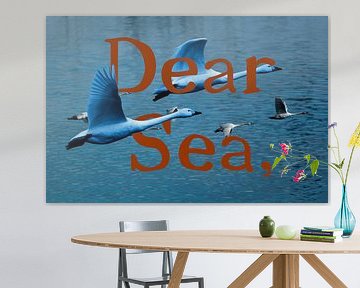 Dear Sea, by True Color Stories