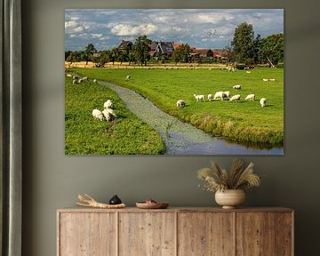 Typical Dutch landscape with sheep on Marken by Marco Rutten