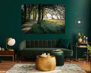 Morning in the Reest valley by Bé Poolman