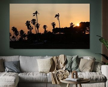 Sonnenuntergang mit Palmen