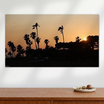 Sunset with palm trees