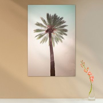 Palm tree against a turquoise and pink sky