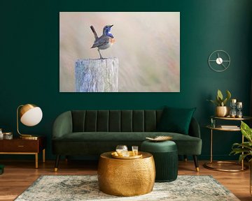 Fier oiseau bleu 2x3 sur Andre Gerbens